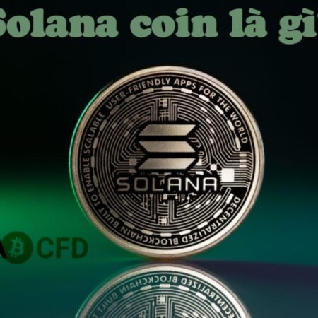 Dự án Solana Coin là gì, có gì nổi trội trong hệ sinh thái Crypto?